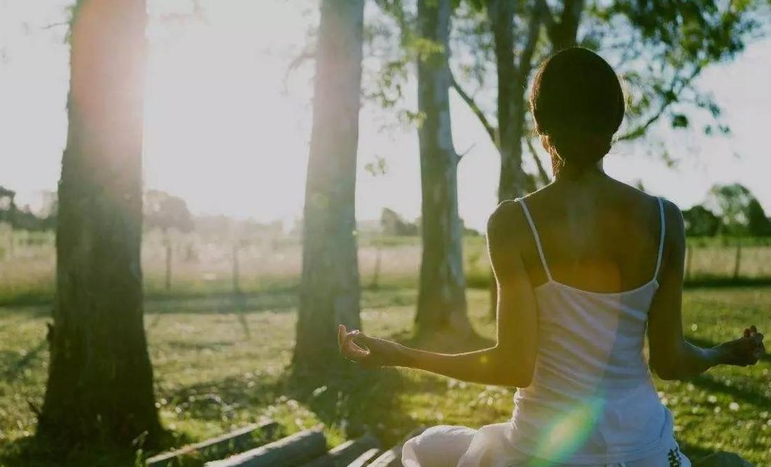 大众polo碰撞测试,最新大众polo碰撞测试