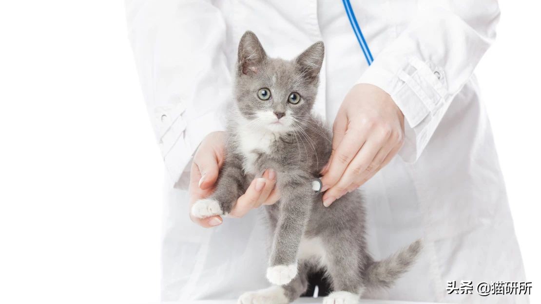 腹泻十几次最快的治疗方法,腹泻有五年应该怎样治疗