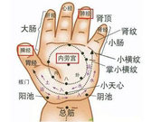 推拿治疗小儿口腔溃疡,揉一个穴位治病