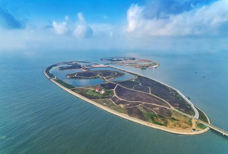 山东广电2021海洋研学成长营｜夏天、海水、沙滩、篝火海洋探索、红色教育小红军第一期名额仅剩16名欲报从速