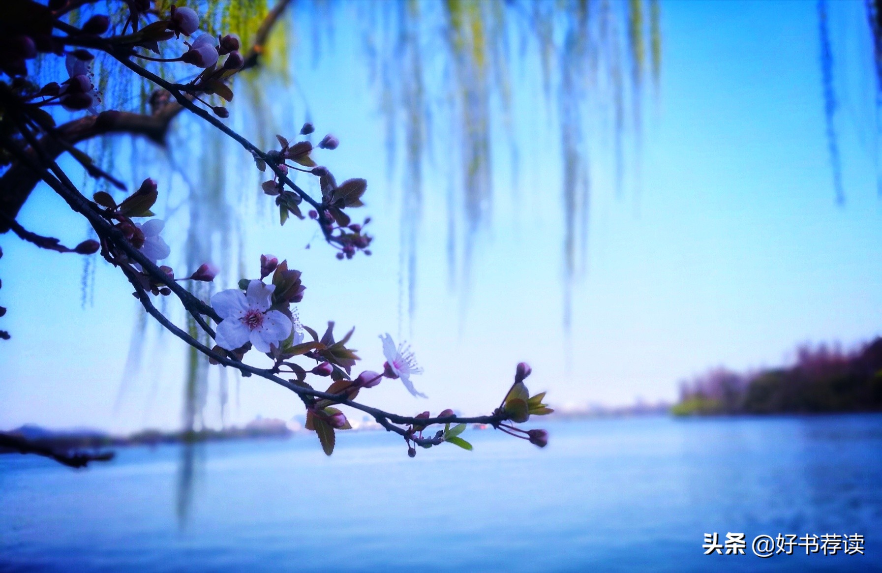 深度讲解苏东坡,苏东坡一蓑烟雨任平生翻译