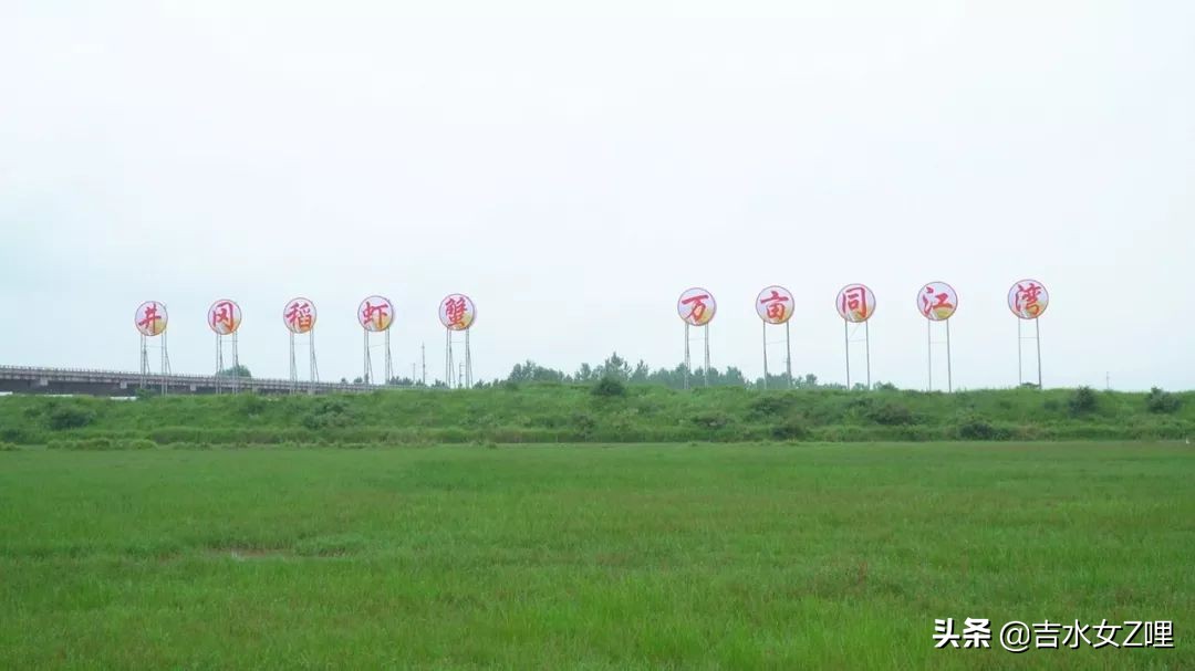 吉水街头采访,吉水县新闻视频
