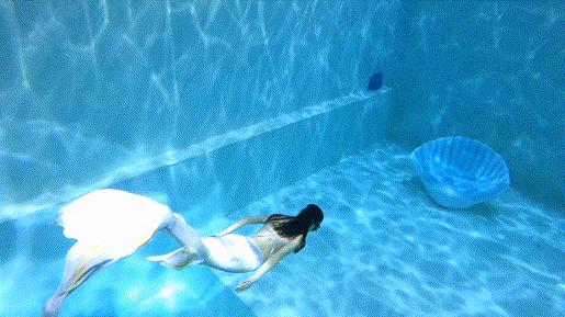 只要你愿意，就能圆你一个人鱼公主梦|美人鱼系列课程