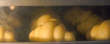 体育西蜂窝可颂,20+种口味!月售10w+