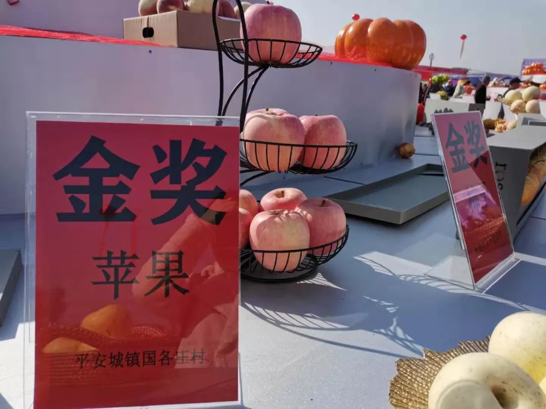 遵化优质苹果,墙裂安利最好看的剧