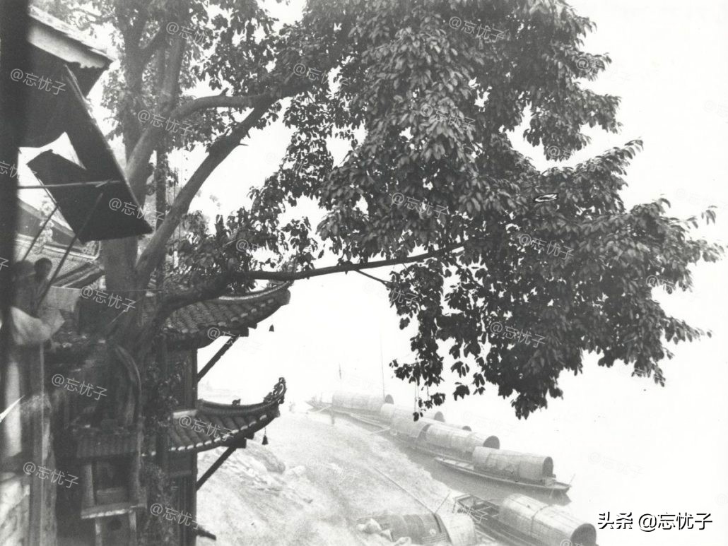 德国夫妇26年自驾环游世界,德国夫妇游中国