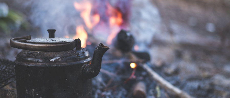 农村说有钱人吃鹿茸，没钱人吃屁巴虫，屁巴虫到底是什么？