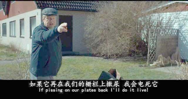 用4种方式，6次自杀都没成功：好好活着比你想象中的更容易