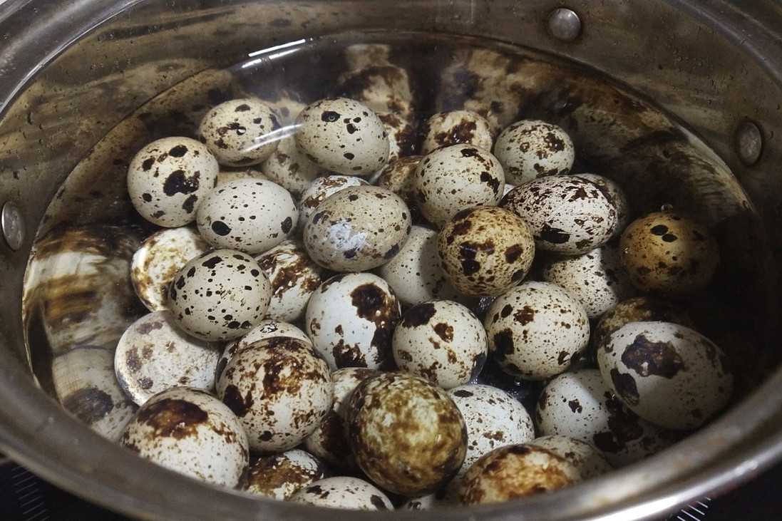 鹌鹑蛋营养价值高不高,鹌鹑蛋的营养能超过鸡蛋吗