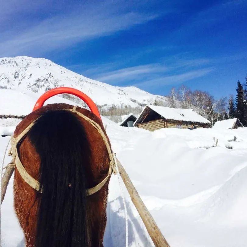 抖音做完酒店,又开始做旅行社“*梦春**”