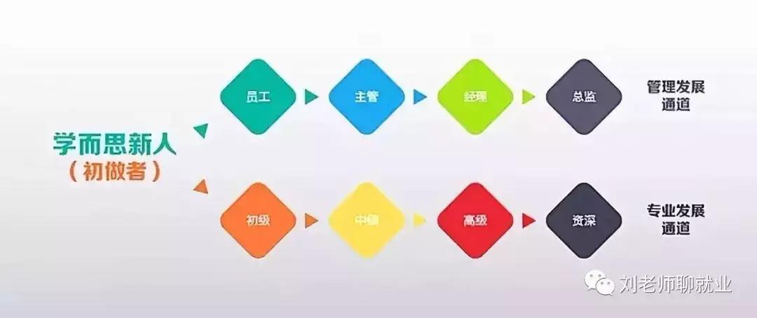 学而思培优数学思维训练,学而思培优app最新版