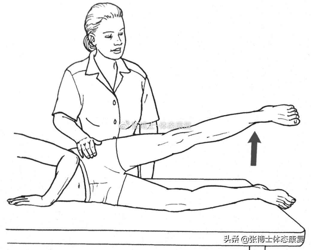 「译文分享」人体侧向子系统与单腿运动的稳定性