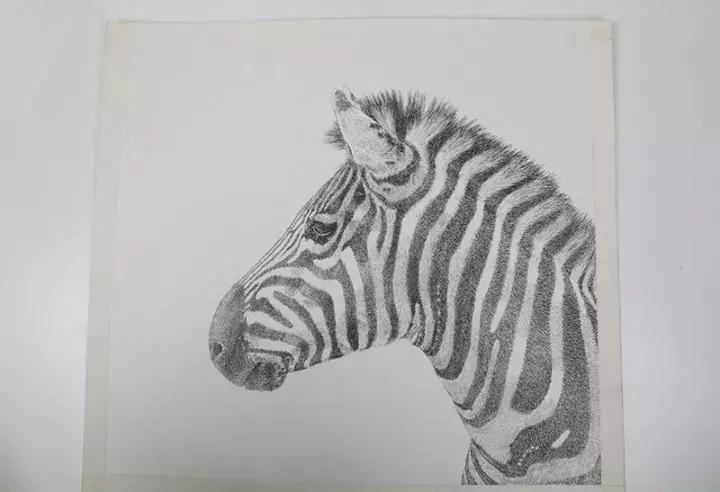 小央美钢笔画视频,极品五大钢笔画简直美爆