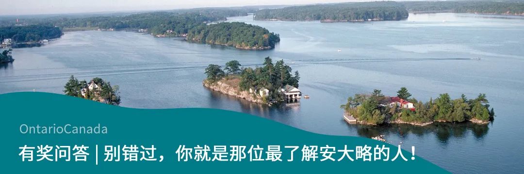 舌尖上的美食打卡醉鹅,多伦多美食推荐