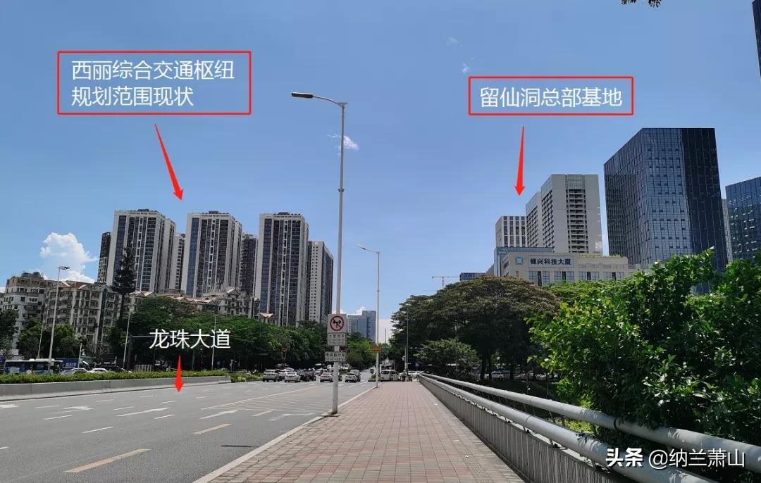 西丽综合枢纽,西丽枢纽中标单位公示