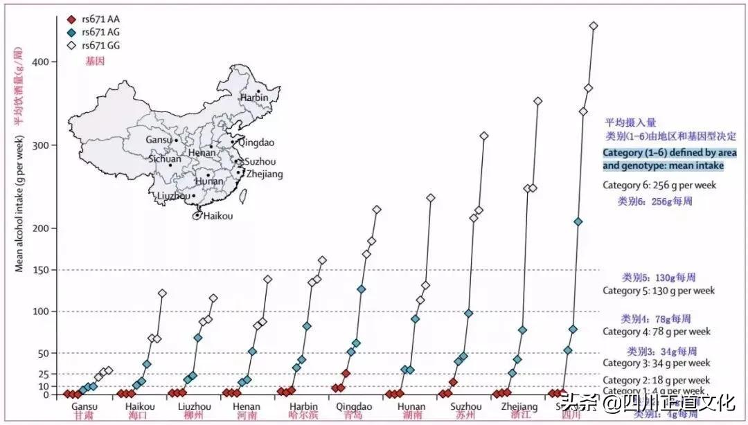 趣谈人的智慧,趣谈重庆