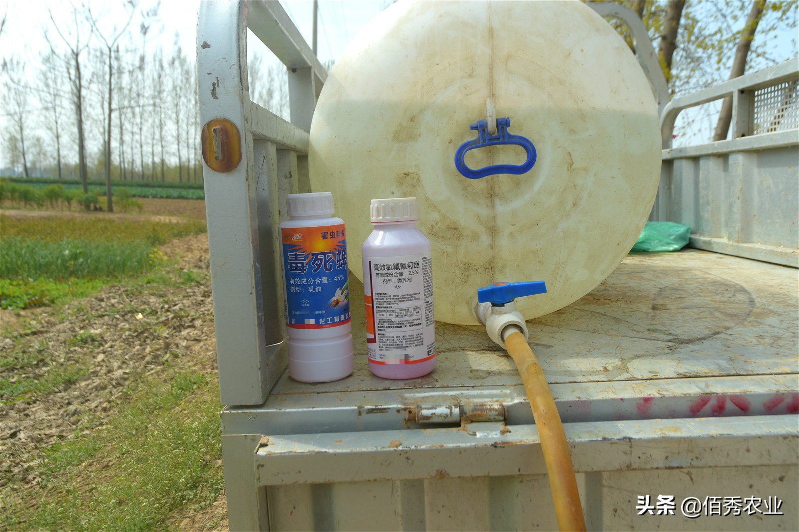 专治地下害虫蛴螬的农药,草坪蛴螬的防治用什么农药