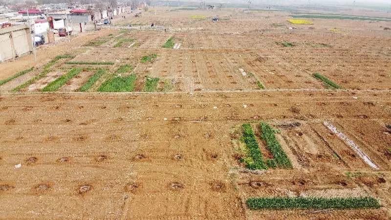 峰峰矿区哪个乡镇最好,峰峰美丽乡村都有哪些