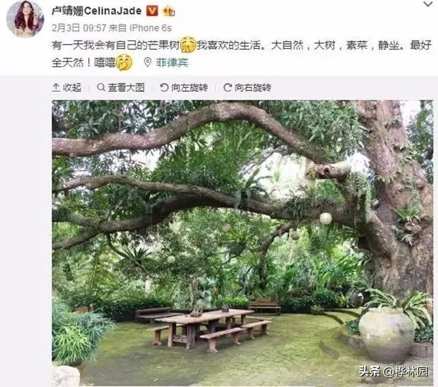 世界级美人“高颜值”“好气质”“魔鬼身材”原来可以吃出来的