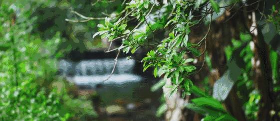 青城山打卡地隐遇谷私汤温泉民宿,青城山雅上一宿温泉酒店是真温泉