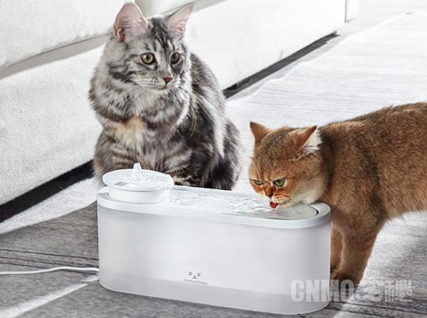 美的猫咪智能饮水机,美的猫咪自动饮水机测评