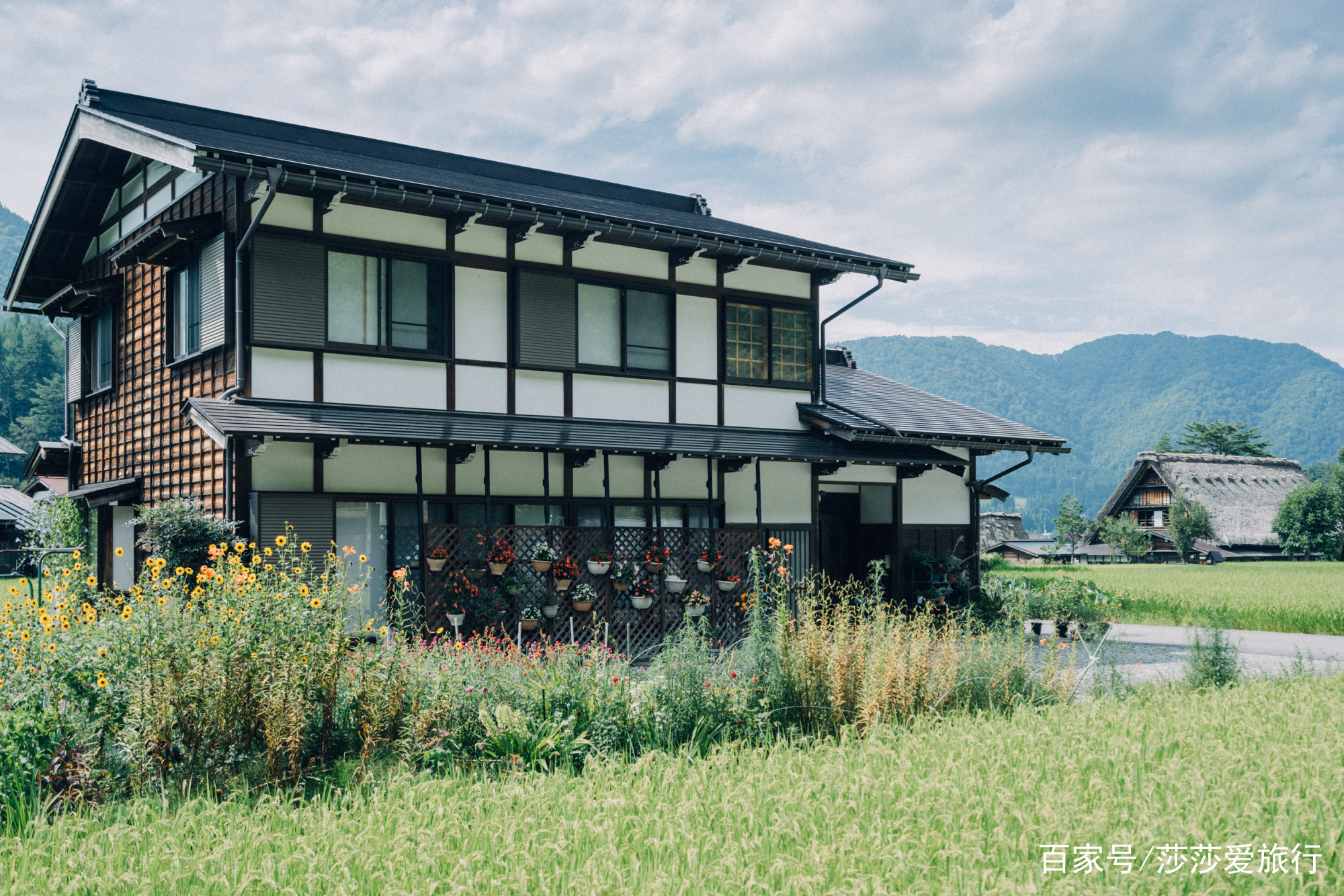 在日本中部的岐阜，发现不一样的日本