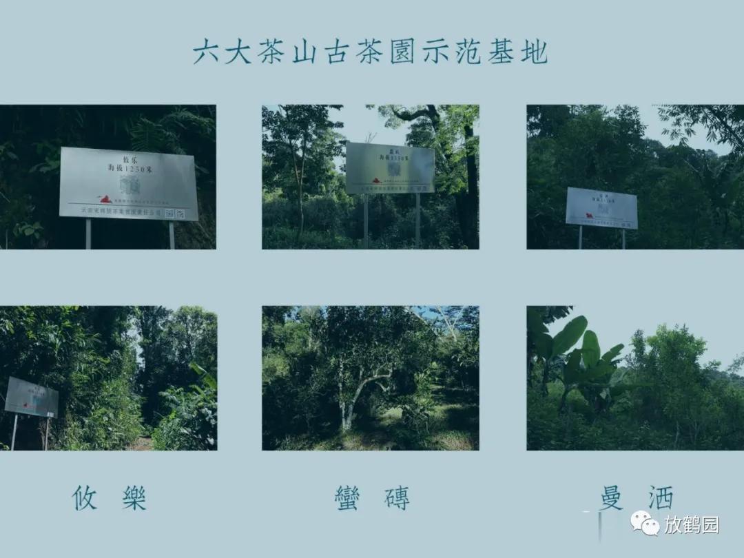 乾利贞宋聘号状元茶,乾利贞宋聘号普洱茶价目表