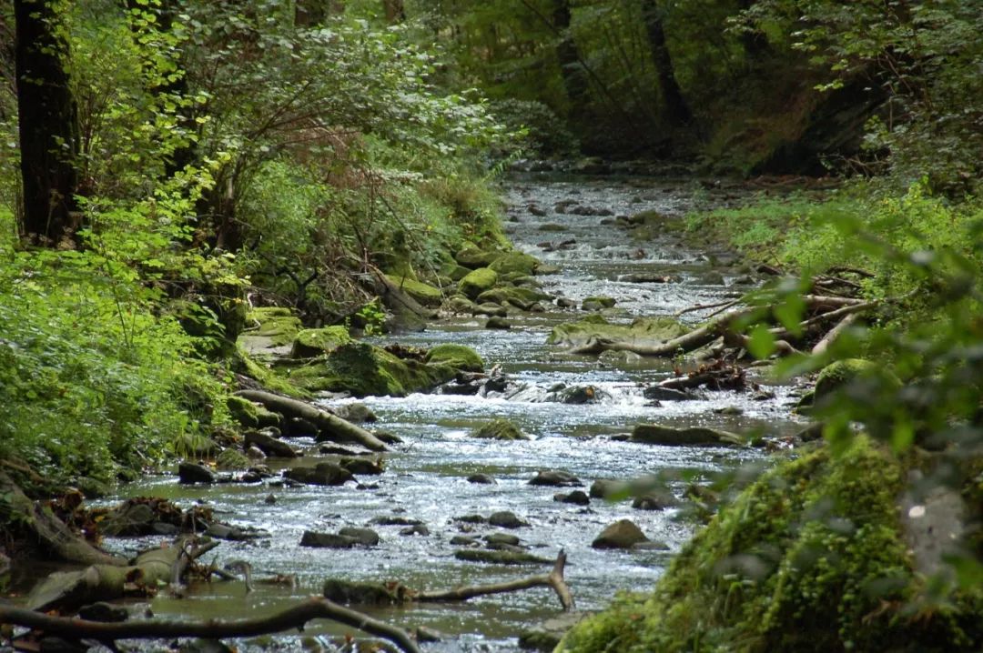 放在地图上很难找到的10个国家,地图上小到看不见的地区