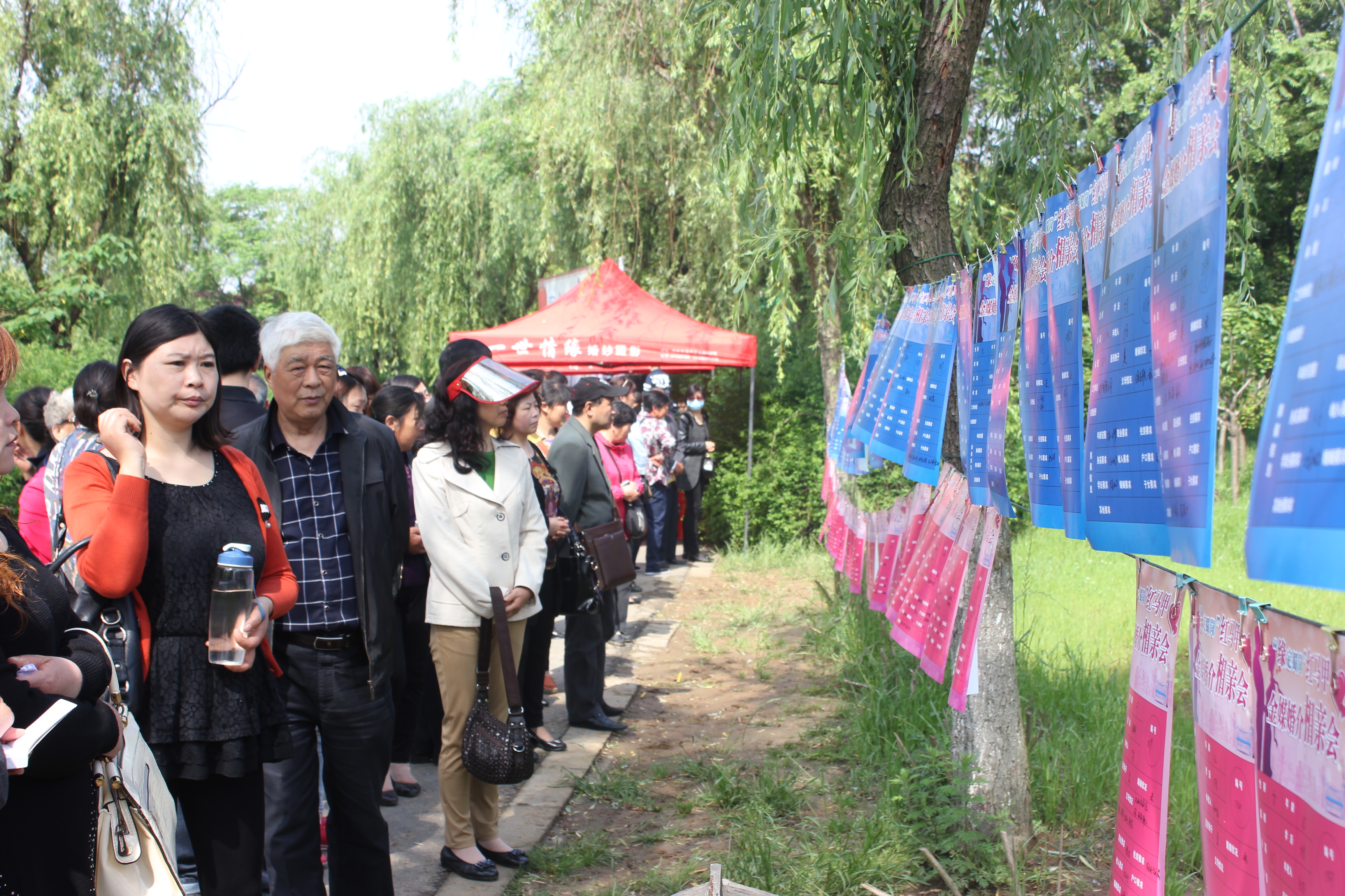 志愿者协会助力优化营商环境,优化营商环境志愿者宣讲