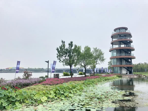 郑州鸟巢活动,郑州鸟巢体育馆比赛