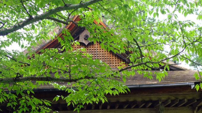 大阪关西机场免税店怎么去,日本大阪机场免税店血拼攻略