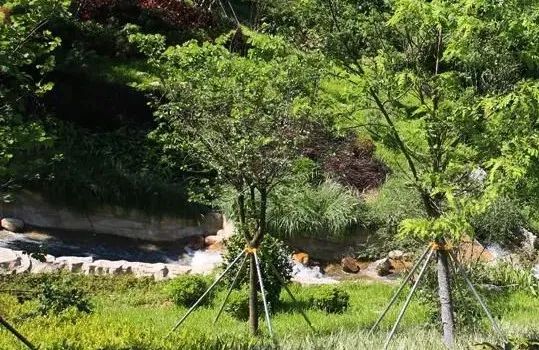 深圳新添大型高颜值公园,深圳最近新开放的公园