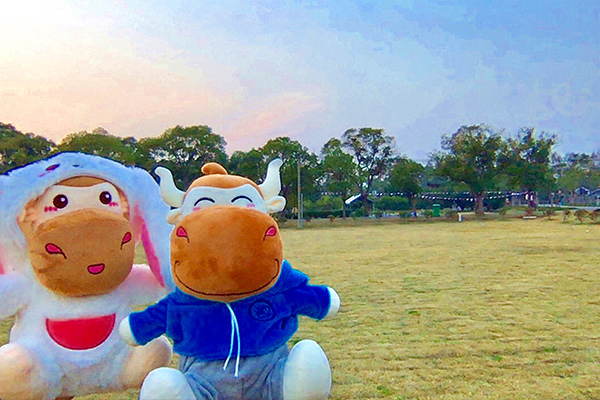 初级会计报名失败怎么补救,初级会计报名网页出错了怎么回事