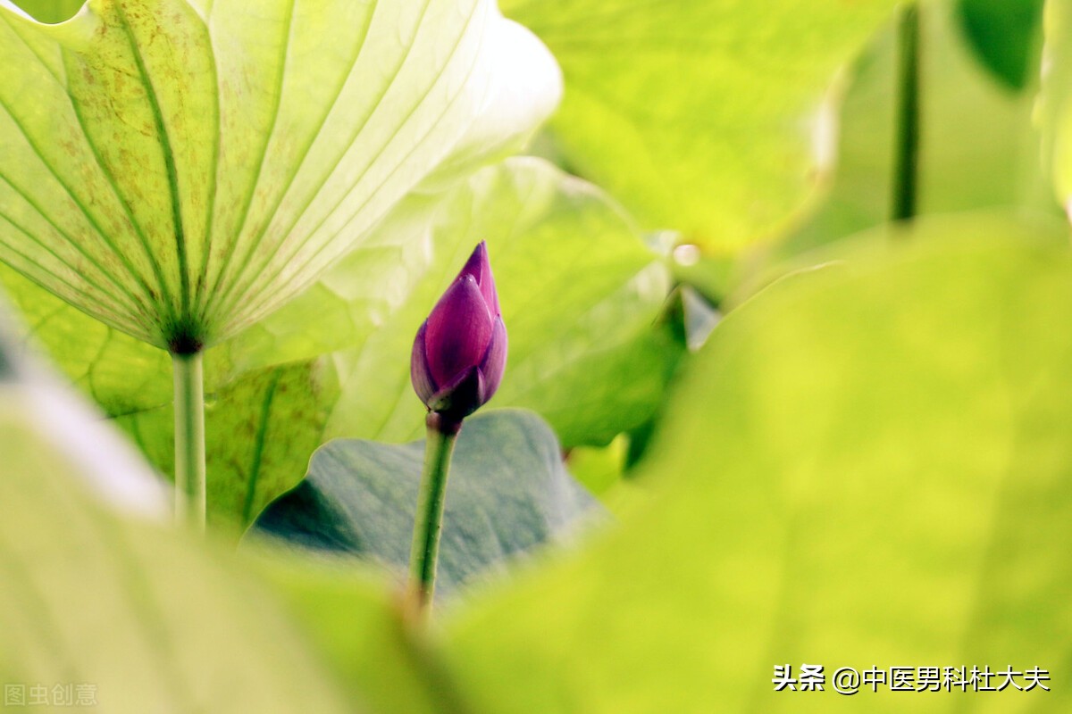 哪些行为可以改善肾气,哪些习惯哪些行为可以补肾