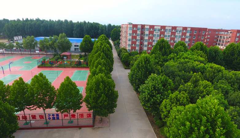 南阳市区各高中喜报,2015年南阳地区高中高考喜报