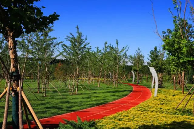 北京房山团建踏青地点推荐,北京房山春季旅游最佳去处