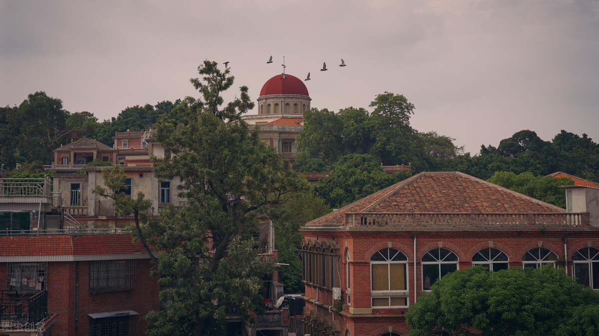到鼓浪屿旅游指南,厦门鼓浪屿最新旅游攻略