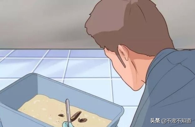 猫咪吃了驱虫没有食欲,猫咪吃了驱虫药没有排出虫子