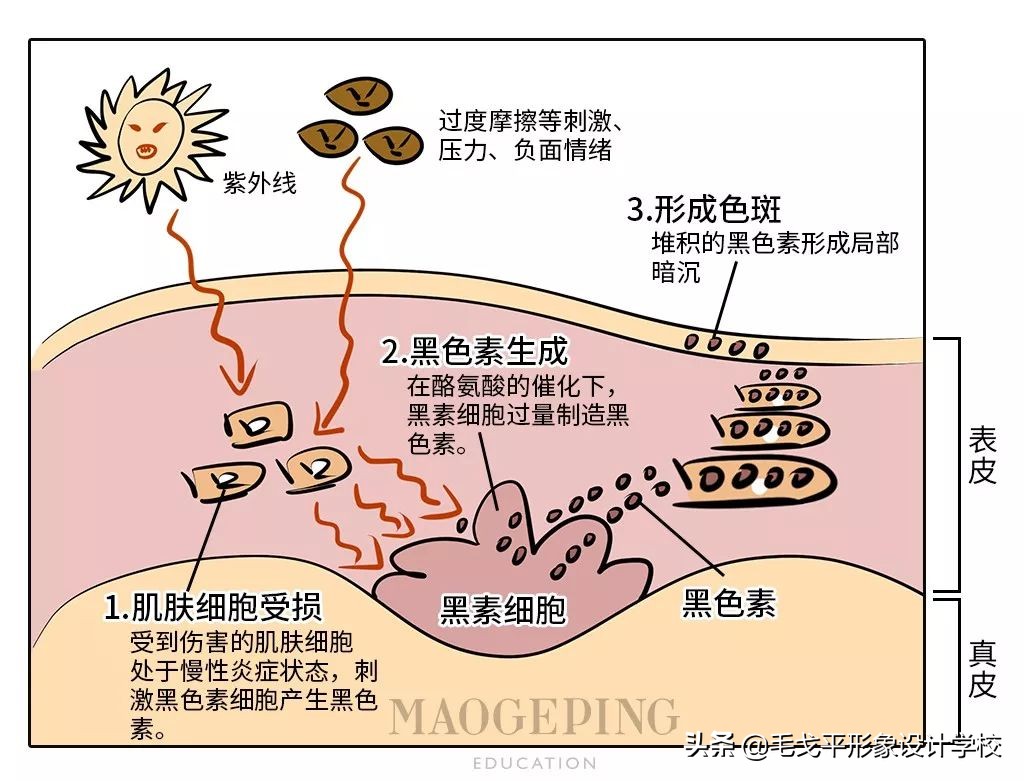 珍珠粉加白醋美白祛斑,珍珠粉美白加什么美白