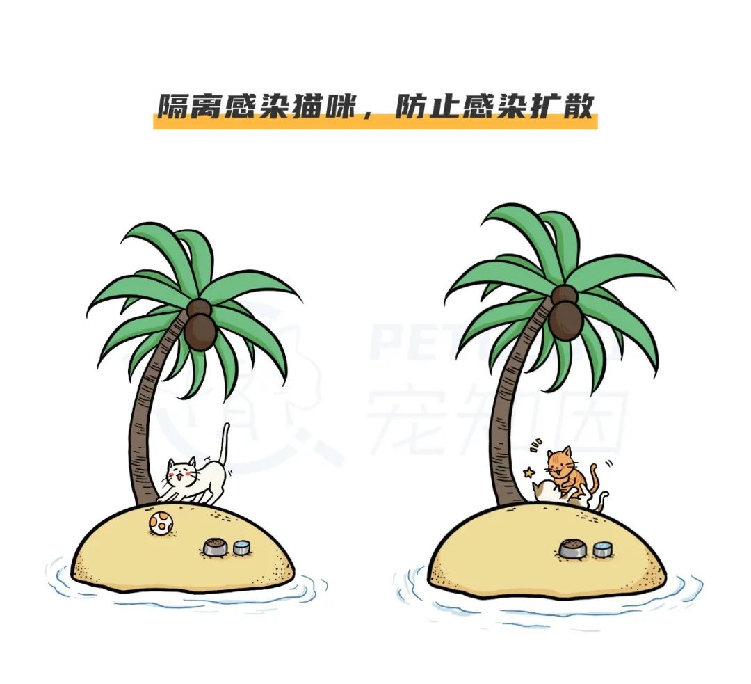 怀孕的母猫得猫瘟没流产,怀孕一个月的猫感染猫瘟会流产吗