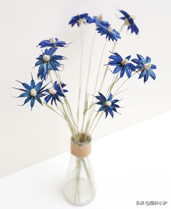 如何用鲜花制作干花而不凋零,鲜花晾干后怎么制作干花和保存