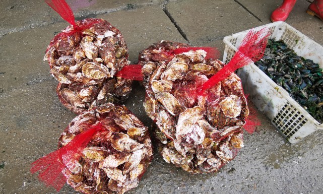 福州最便宜的海鲜渔村,福建海鲜最多的地方是哪里