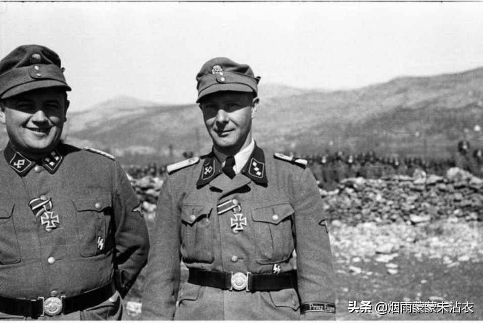 巴尔干的恶棍，*党**卫军“欧根亲王师”组建过程及战史