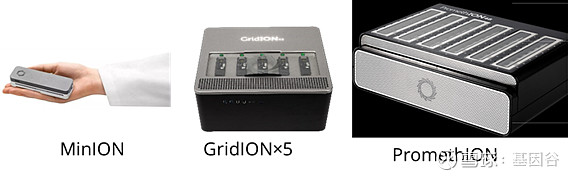 全场硬菜!分子诊断技术全解析