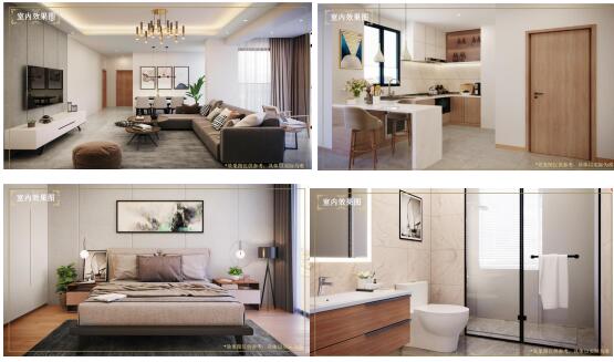 施强国际,施强国际怎么样