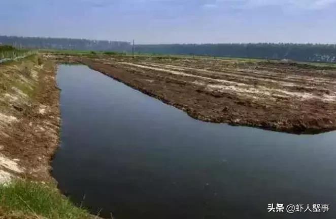 小龙虾养殖场基地赚钱吗,小龙虾养殖户的出路