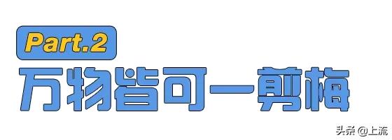 外国人听一剪梅粤语版完整,一剪梅抖音最火的舞蹈外国人