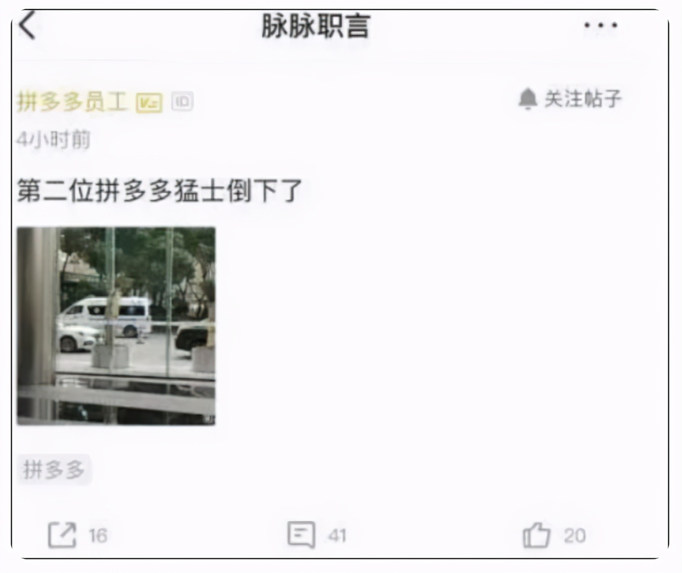 拼多多创始人黄峥个人简历资料,拼多多董事长黄峥做客人民网访谈