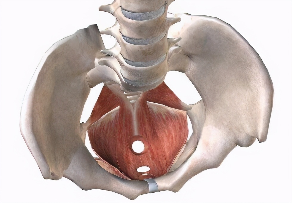 孕期怎么解决漏尿尴尬,打喷嚏漏尿是盆底肌松弛怎么治疗