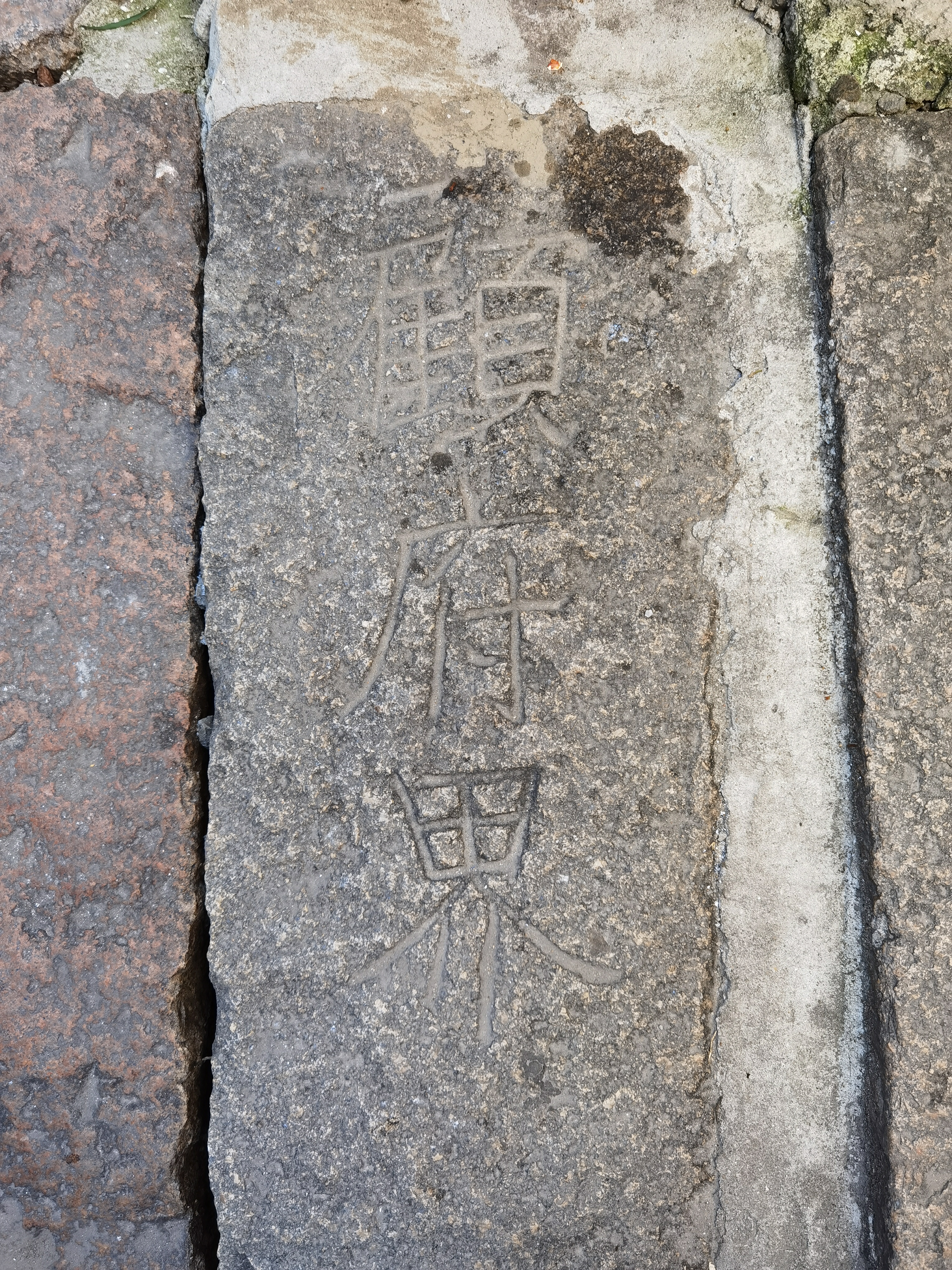 「顾马入江南」老街酒楼吃吃蟹